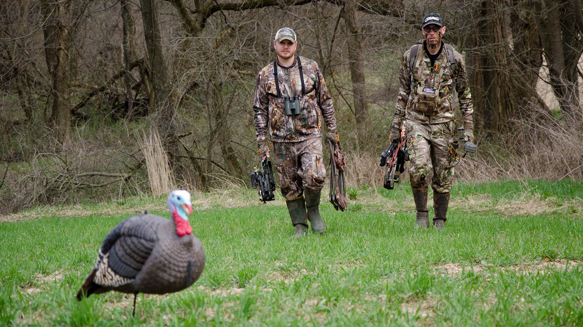 tag-team calling tactics for turkeys- hunters in field