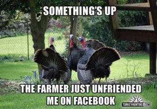 Farmer unfriended me turkey hunting meme