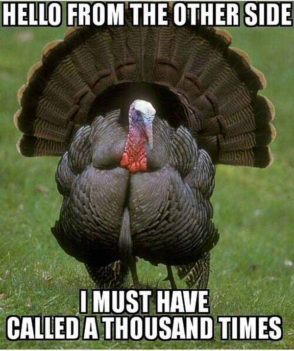 The Best Turkey Hunting Memes | Only at 