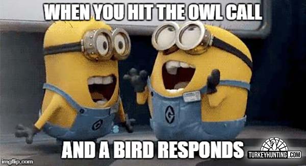 Owl Call Turkey Hunting Meme