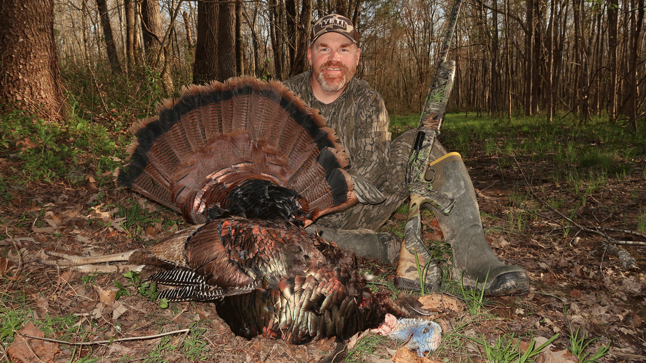 turkey hunting - Bro-TN-Bird