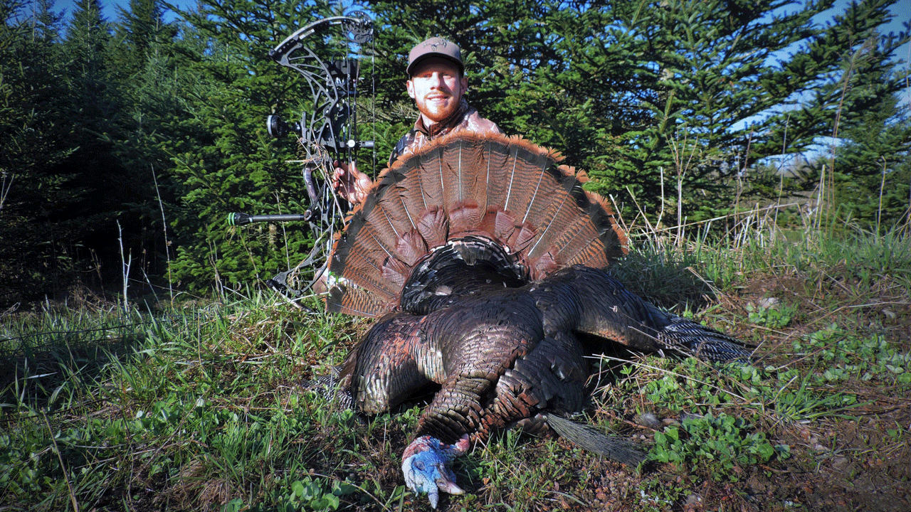 Public land turkey hunting - darron-bowkill-turkey