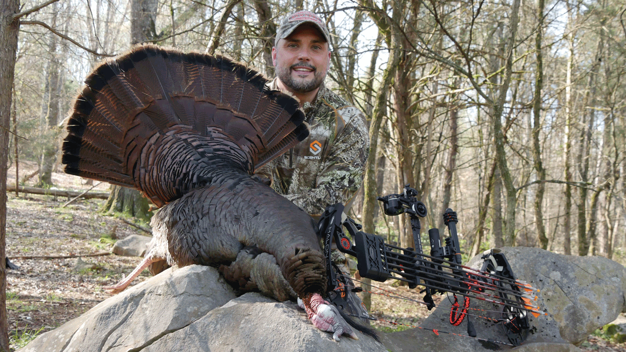tennessee turkey hunting - sturgill-turkey
